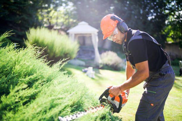 Jardin  Outils de jardinage pour toutes les tâches en extérieur