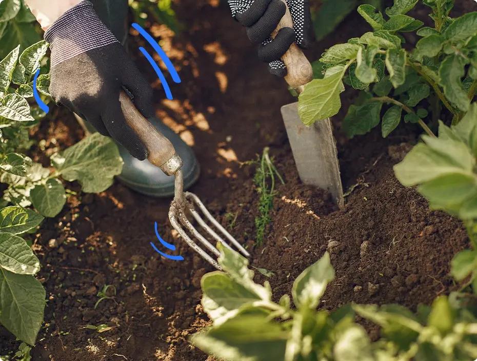 Demande de devis pour trouvez un jardinier à paris